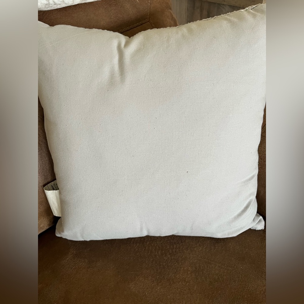 Throw pillows AND covers 20X20 SET OF 2 - Picture 9 of 16